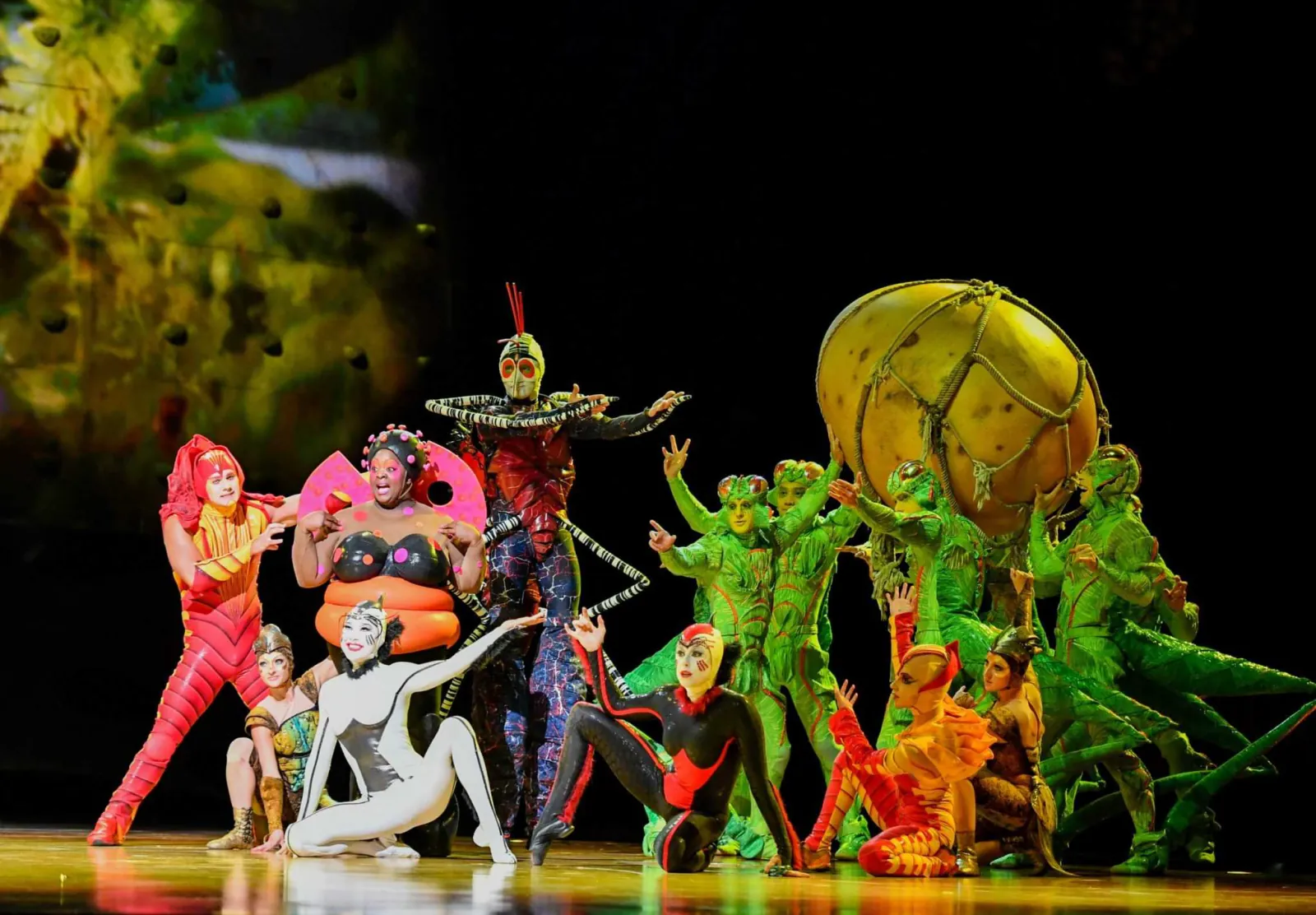 Cirque du Soleil: ОВО