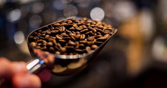 Caffe4u